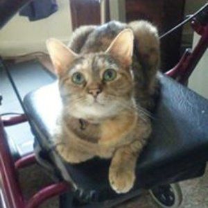 Meet your Posher, Terri